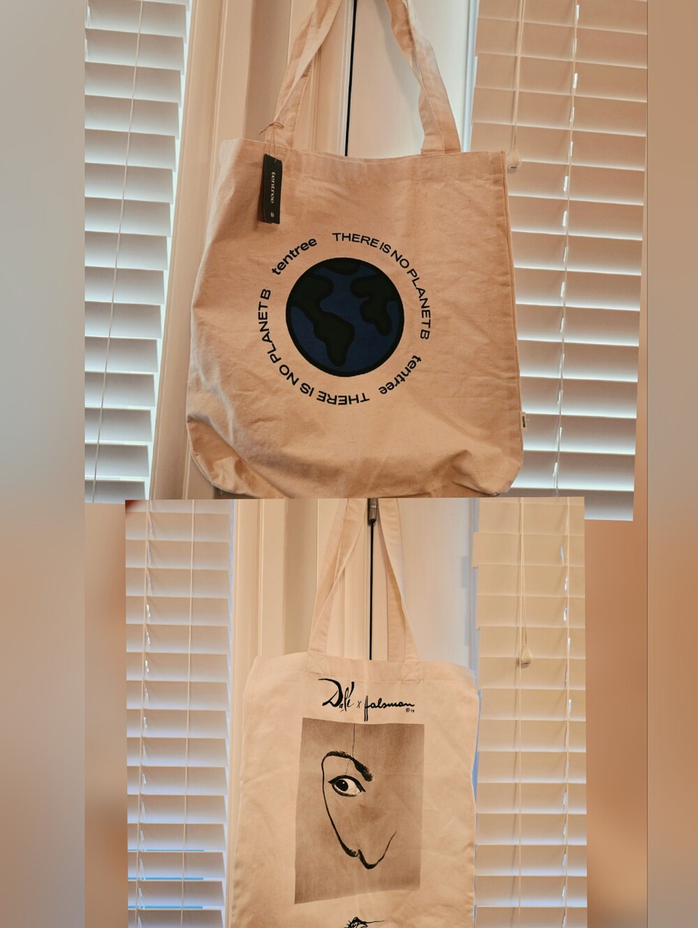 Bundle Of 2 Canvas Totes TENTREE and SALVADOR DALI